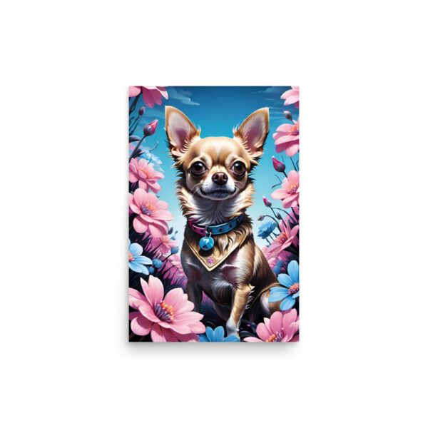 Chien chihuahua