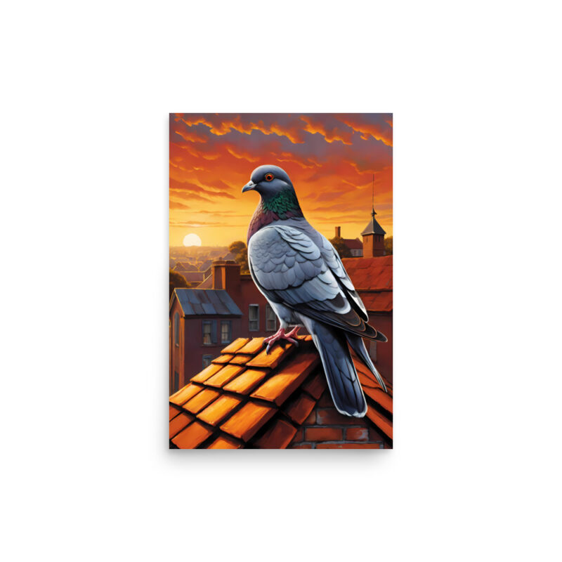 Pigeon sur toiture
