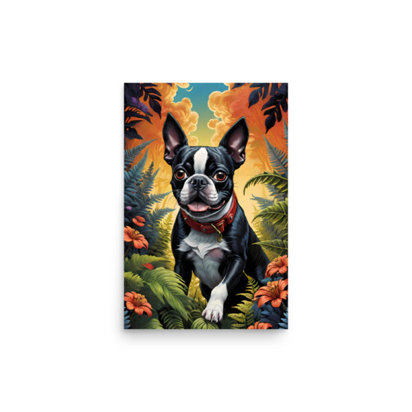 Chien terrier de boston